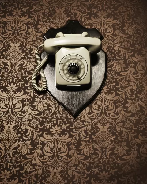 Desk telephone hanging as a trophy on a wall