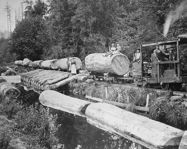 Handmade Logging Train