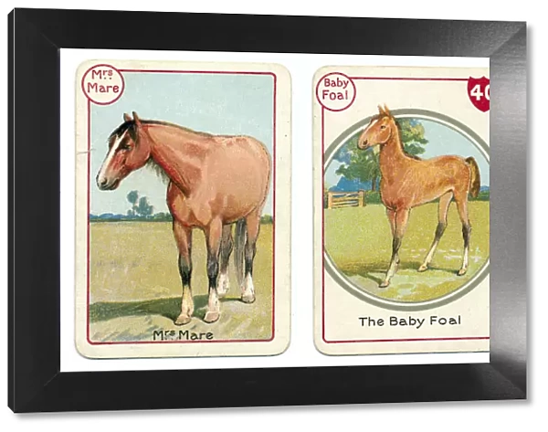 Three horse cards Victorian animal families game