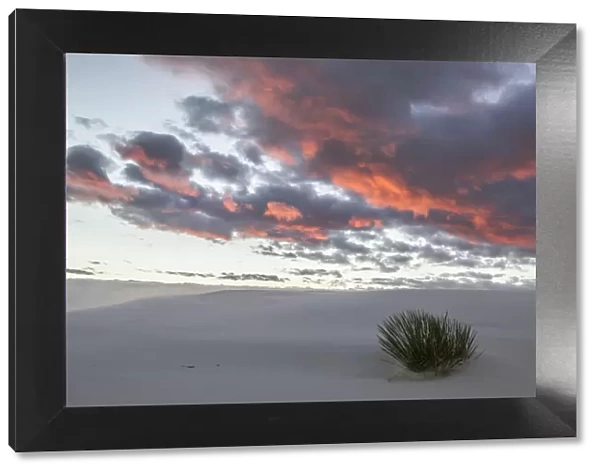 Clouds lit by sunrise over White Sands National Monument, New Mexico, USA