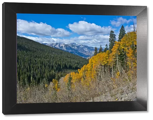 Autumn landscape with aspen forest, Rocky Mountains, Marble, Colorado, USA