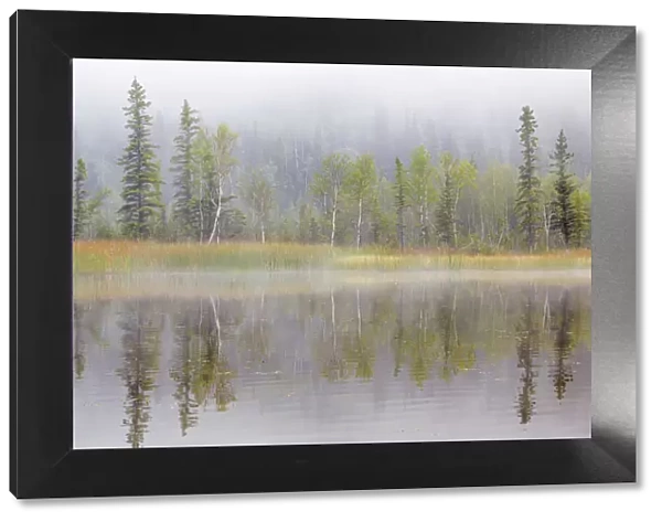 Landscape with lake and foggy forest by Little Lost Lake, Alaska, USA