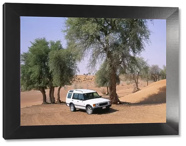 4X4 Vehicle Under a Desert Tree