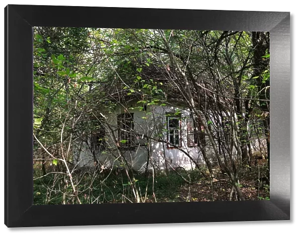Abandoned country house within the Chernobyl exclusion zone