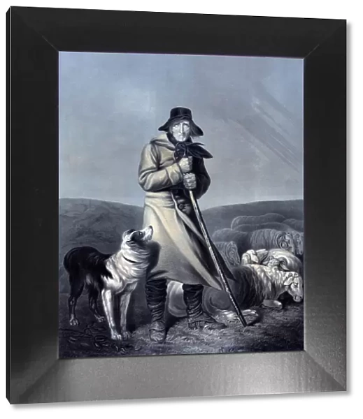 Shepherd with His Sheep and Dog