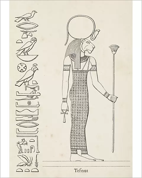 Ancient egyptian hieroglyph of Tefnut deity of moisture