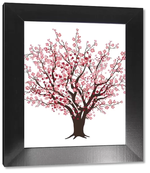 Delicate Cherry Blossom Tree Illustration