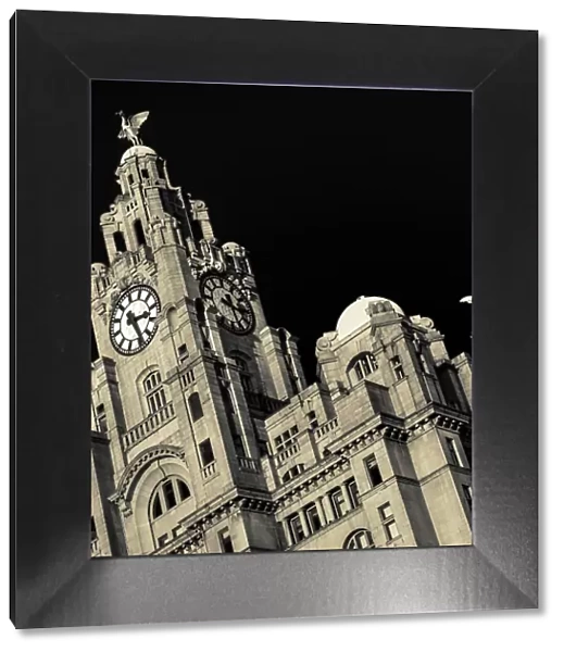 Square crop of the Royal Liver Building