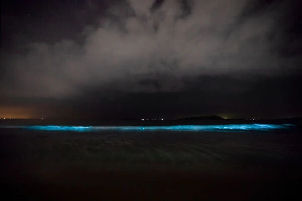 Amazing bioluminescence amidst the waves