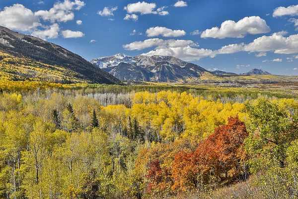 Autumn colors on mountain range, Ridgway, Colorado, USA