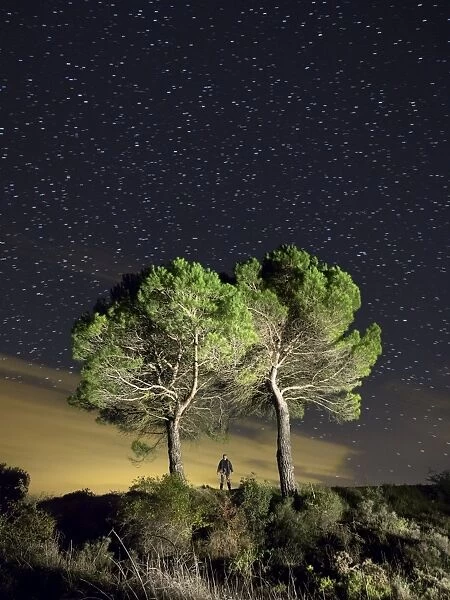 Two big trees in the night with persons silhouettes together with them, illuminated by the moonlight