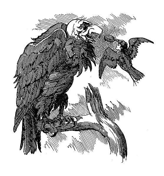 British London satire caricatures comics cartoon illustrations: feeding vulture