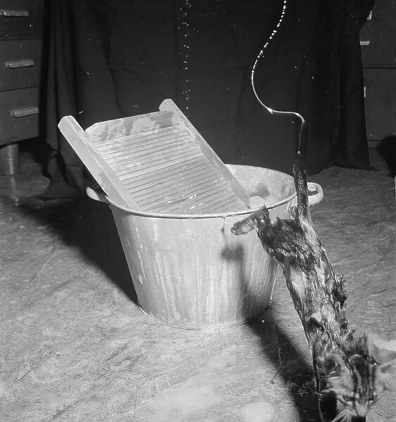 Cat Soak. July 1958: A soaking cat leaps out of a pail of water