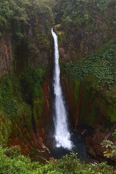Catarata del Toro Waterfall, Costa Rica