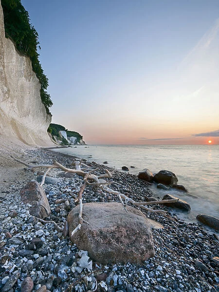 Chalk cliffs at sunrise, Sassnitz, Rugen, Mecklenburg-Western Pomerania, Germany