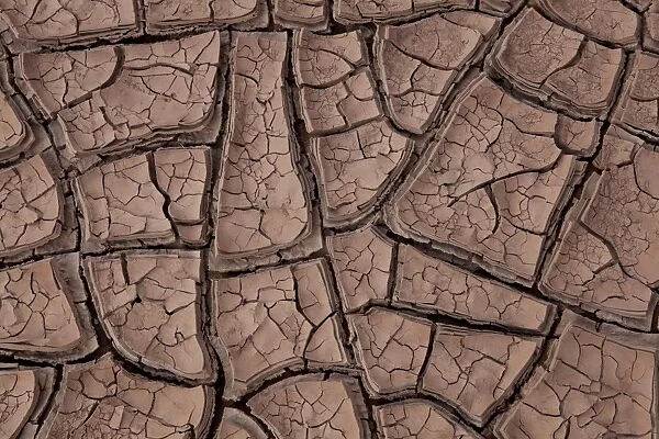 Cracked dry soil of a riverbed, Argentinian Andes, Uspallata, Mendoza province, Argentina, South America, America