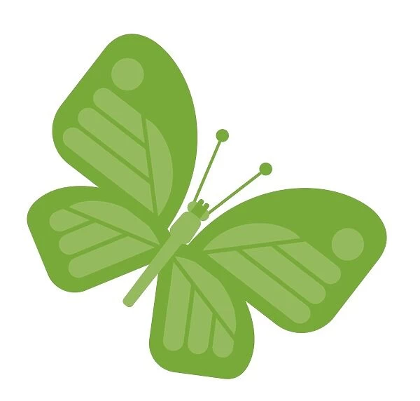 Digital illustration of green butterfly