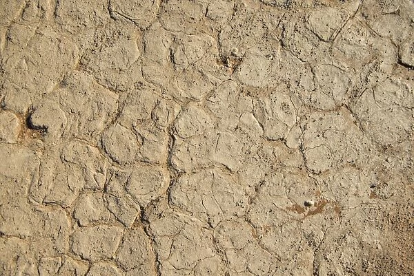 Dry sandy soil, Sossusvlei, Namib Naukluft Park, Namibia