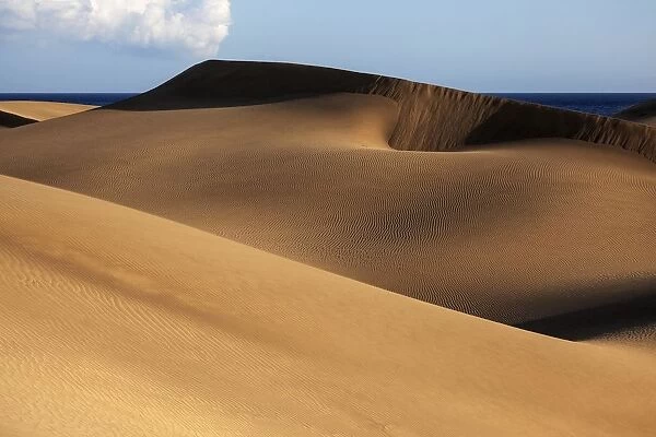 Dune landscape, dunes of Maspalomas, Dunas de Maspalomas, structures in the sand, nature reserve