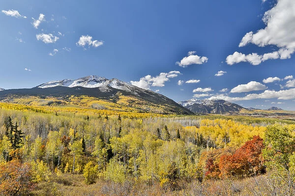 Fall colors near Kebler Pass, Crested Butte, Colorado, USA