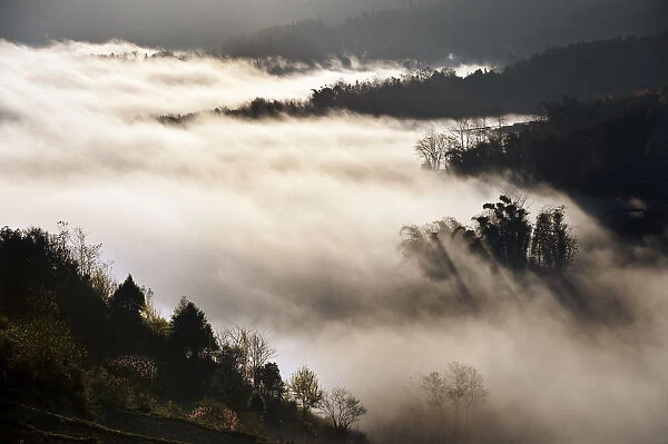 Foggy day in Yuanyang