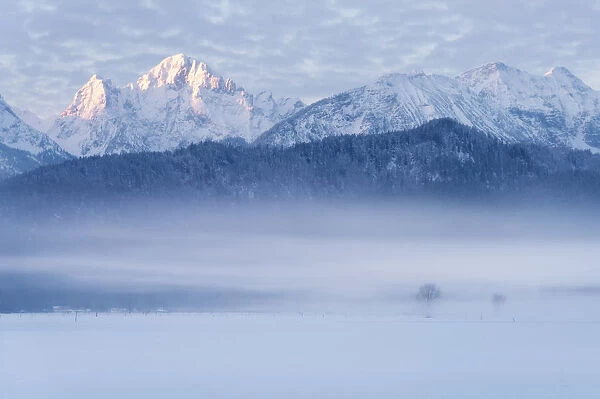 Foggy morning with snowy mountain in Germany