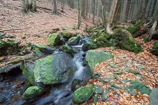 Forest brook (river) with moss covered stones, long exposure