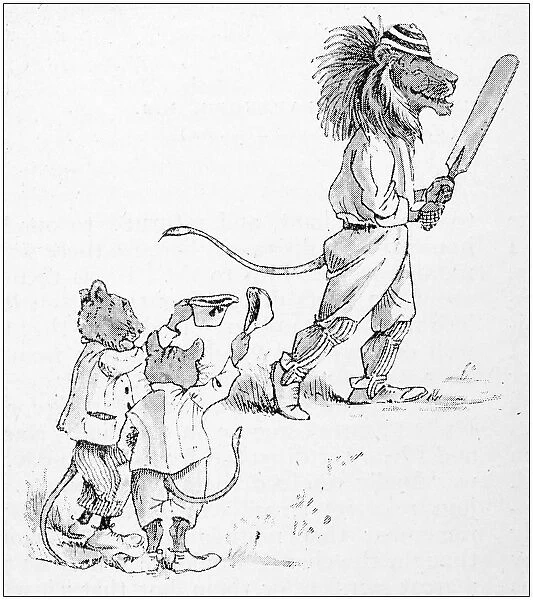 Humanized animals illustrations: Cricket, Bears vs Lions
