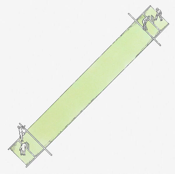 Illustration of cricket pitch, view from above