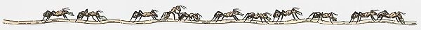 Illustration of row of ants on the move