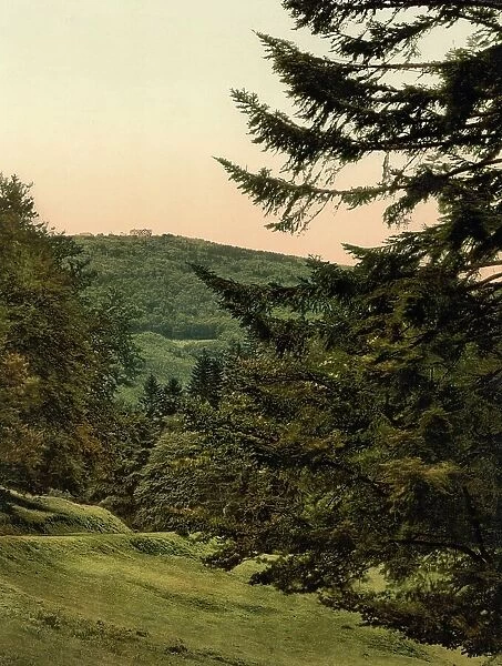 The Inselsberg, in Thuringia, Germany, Historic, digitally restored reproduction of a photochrome print from the 1890s