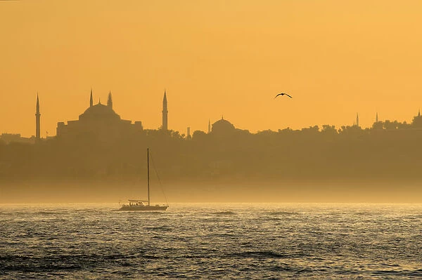 Istanbul. Tonnaja Travel Photography, 517427167