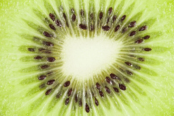 Kiwi slice, macro