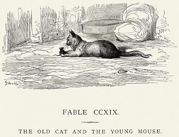La Fontaines Fables - Old Cat and the Young Mouse