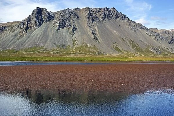 Lakeland with volcanic mountain, peninsula Snaefellsnes, Snaefellsnes, West Iceland