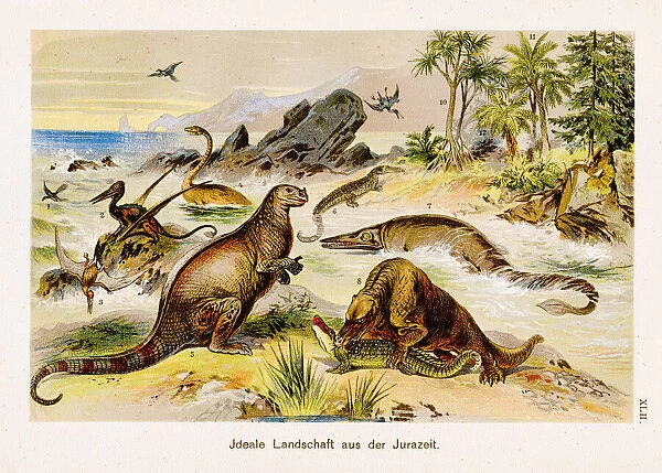 Landscape from the jurassic period Chromolithography 1899