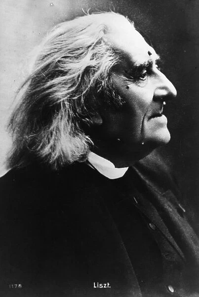 Liszt In Profile