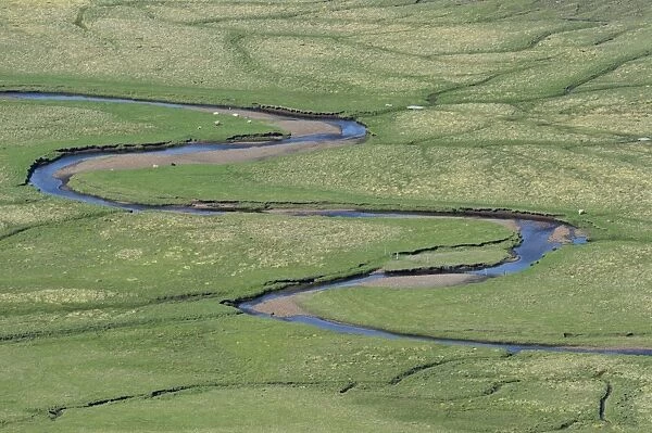 Meandering creek, pastures, Suouroy, Faroe Islands, Denmark