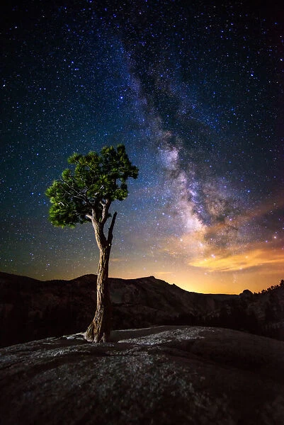 Milky Way. A lone tree with milky way from olmsted point