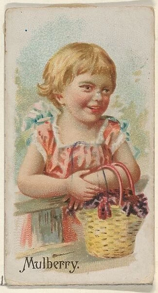 Mulberry Trade Card 1891