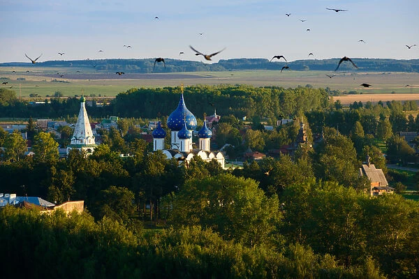 A Murder of Crows Flys over the Kremlin
