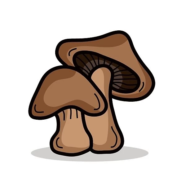 mushroom. eps 10 vector file