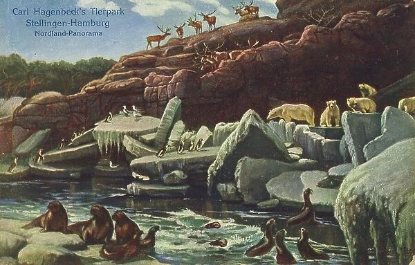 Nordlandpanorama in Tierpark Hagenbeck, Hamburg, Germany, postcard with text, view around ca 1910, historical, digital reproduction of a historical postcard, public domain, from that time, exact date unknown