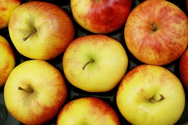 Organic apples, Jonagold