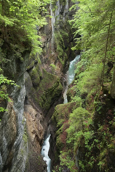 Partnach Gorge, Upper Bavaria, Bavaria, Germany