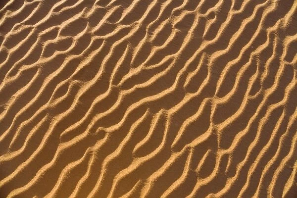 Patterns in the sand, Libyan Desert, Sahara, Libya, North Africa, Africa