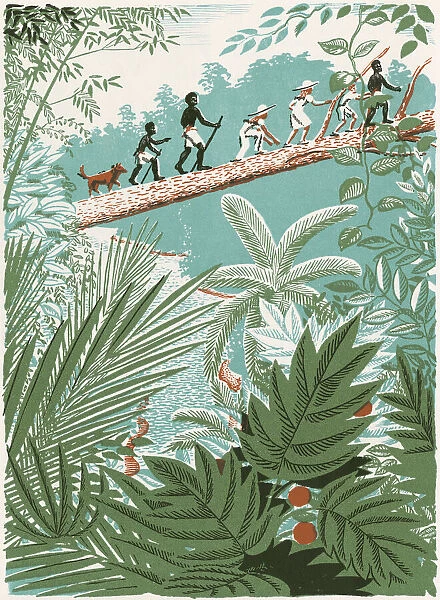People Walking on a Log in the Jungle