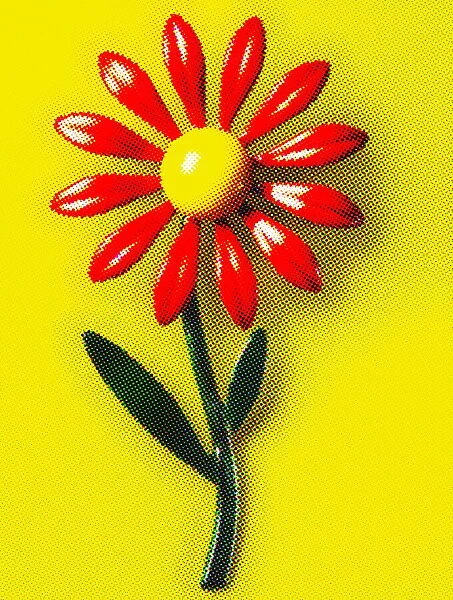 Red and Yellow Flower