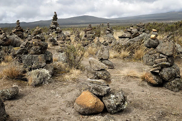 Rocks piled (cairns) on Shira Plateau, Kilimanjaro National Park, Lemosho trail