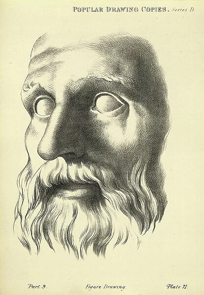 Sketching human face, detail of mature man's face, flowing beard moustache, Victorian art figure drawing copies 19th Century